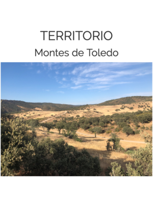 La Naturaleza del Paisaje - Montes de Toledo