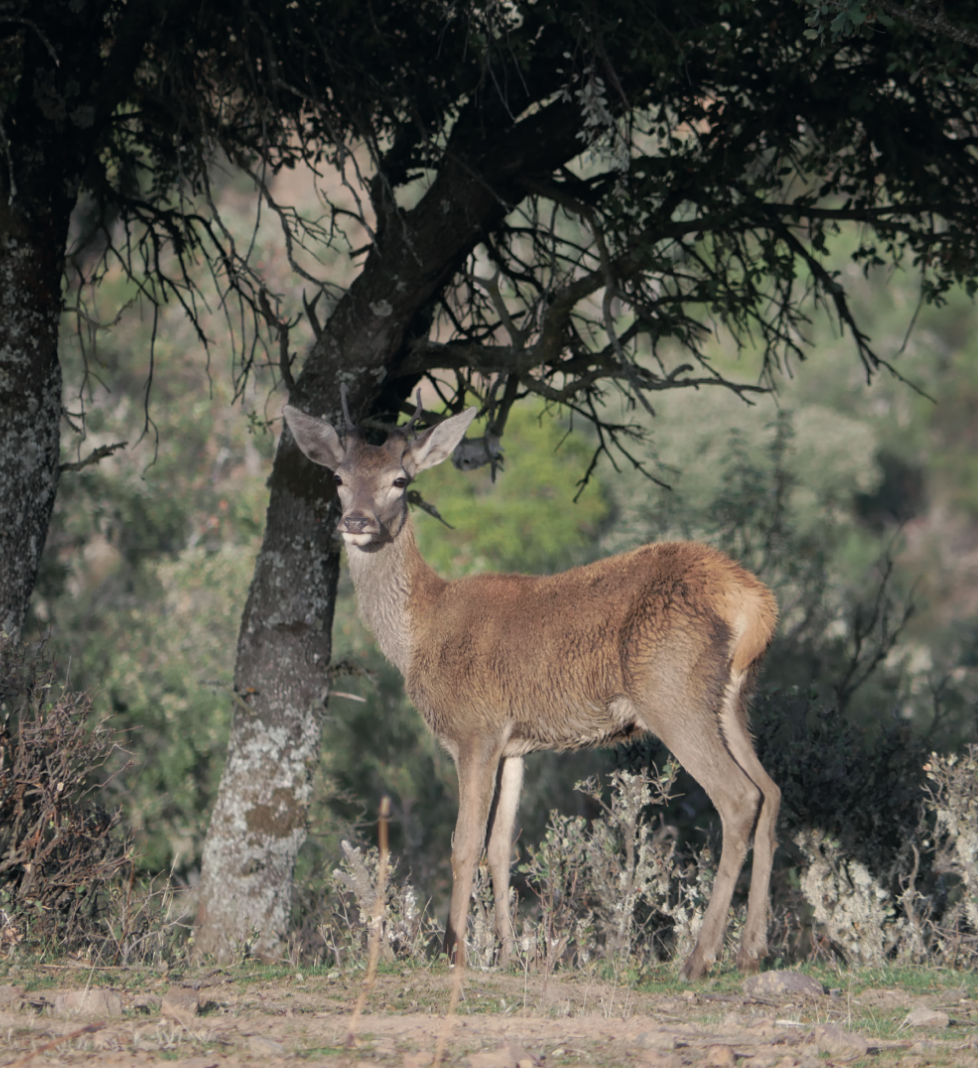 La Naturaleza del paisaje
