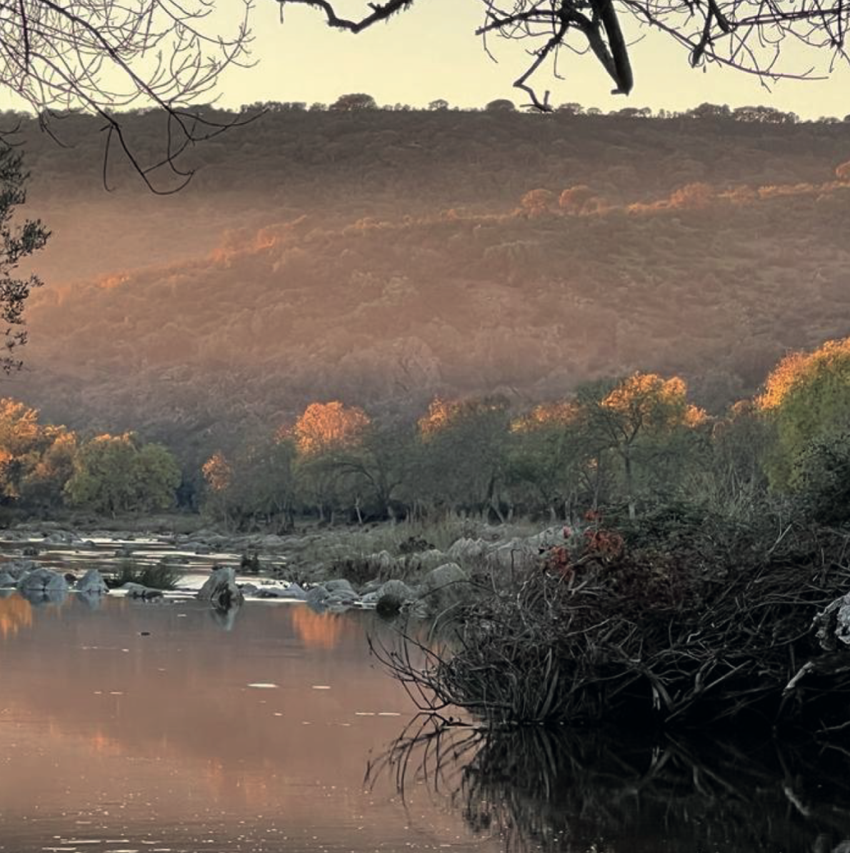 Residencia artística