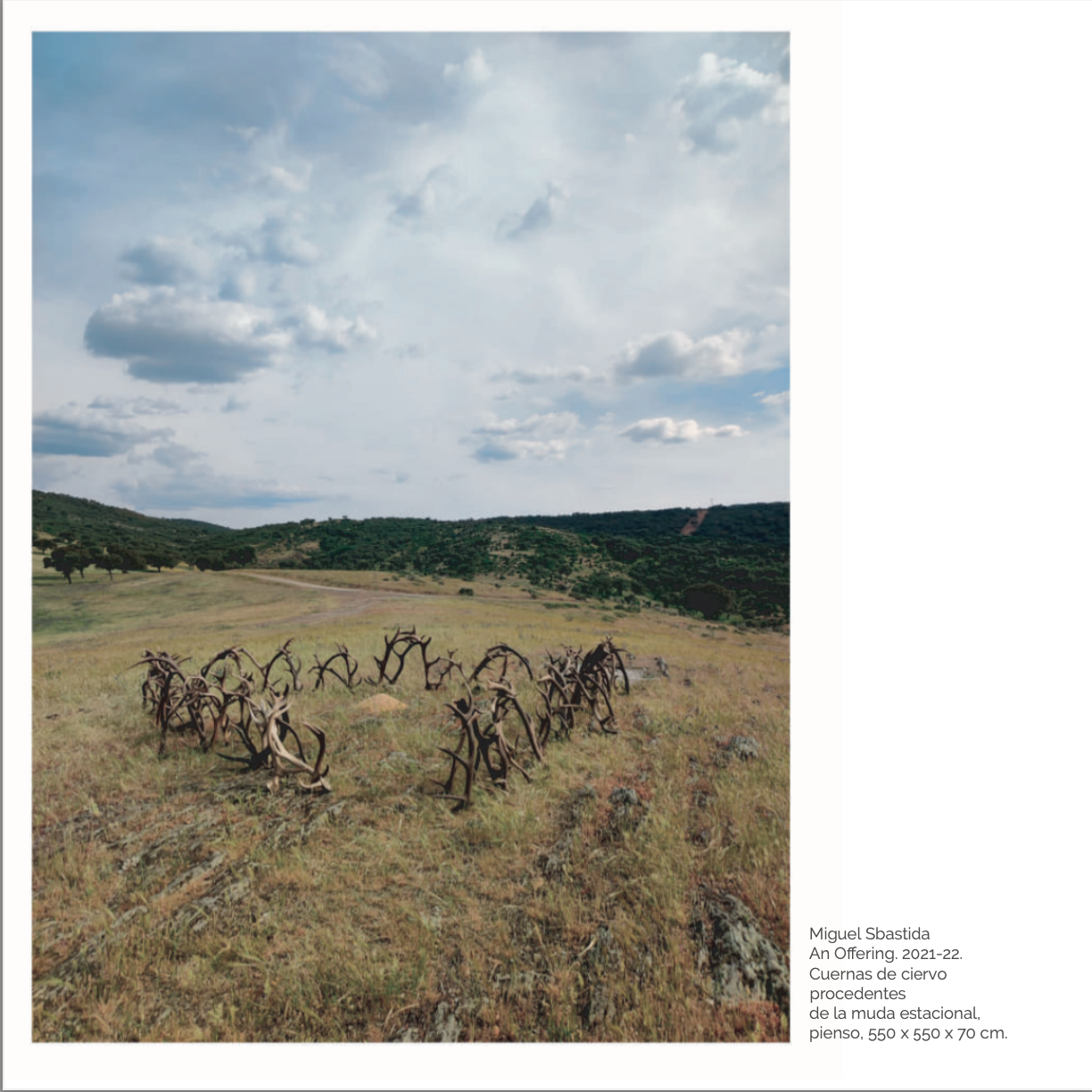 RESIDENCIAS ARTÍSTICAS LNDP