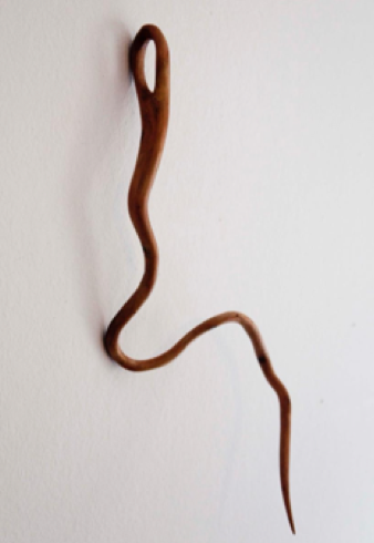 Lucía Loren La Naturaleza del Paisaje