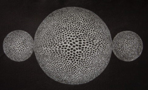 Lucía Loren La Naturaleza del Paisaje