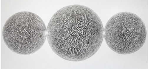 Lucía Loren La Naturaleza del Paisaje