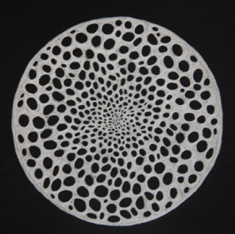 Lucía Loren La Naturaleza del Paisaje