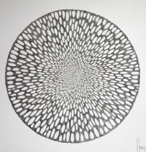 Lucía Loren La Naturaleza del Paisaje