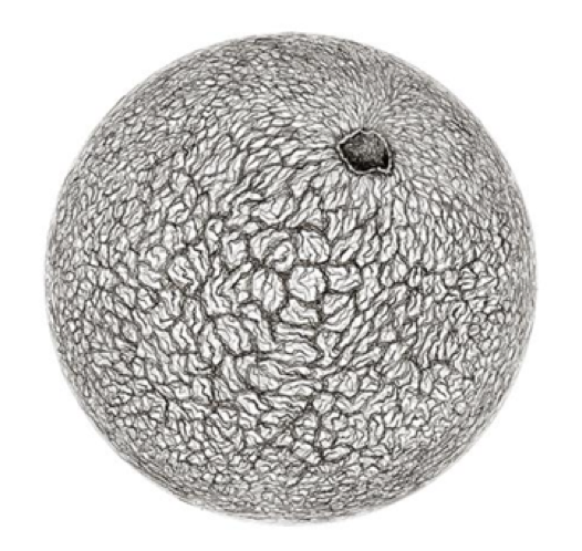 Lucía Loren La Naturaleza del Paisaje