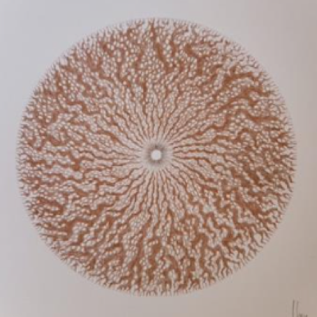 Lucía Loren La Naturaleza del Paisaje