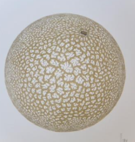 Lucía Loren La Naturaleza del Paisaje