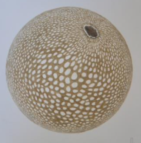 Lucía Loren La Naturaleza del Paisaje