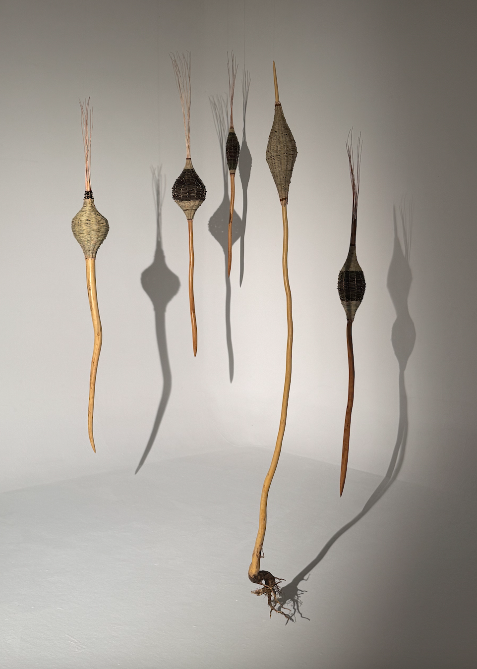 Lucía Loren instalación específica